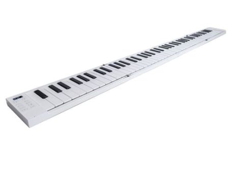 Teclado de Viagem Piano 88 Carry On Hot on Sale